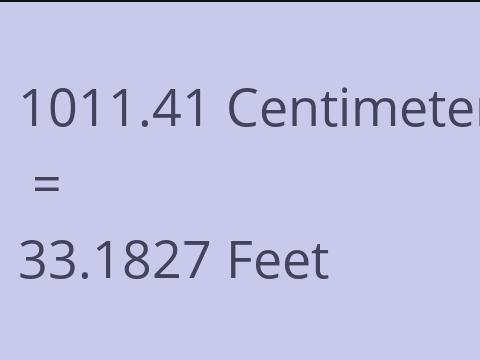 1011.41 CM TO FEET