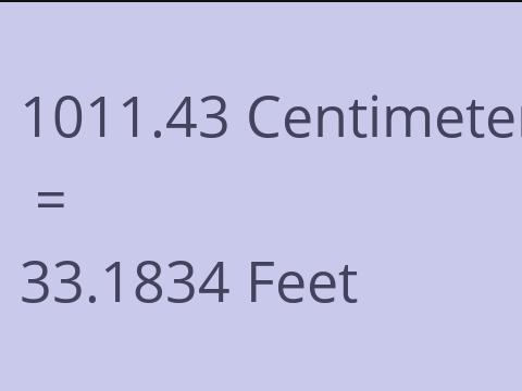 1011.43 CM TO FEET