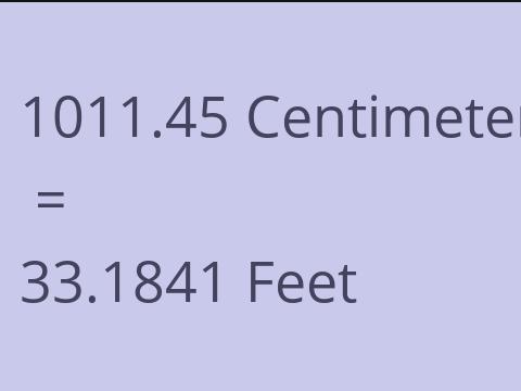 1011.45 CM TO FEET