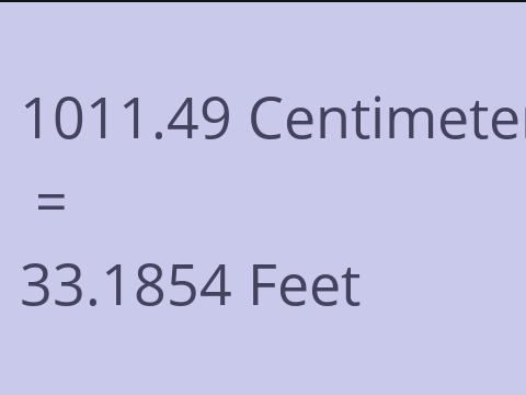 1011.49 CM TO FEET