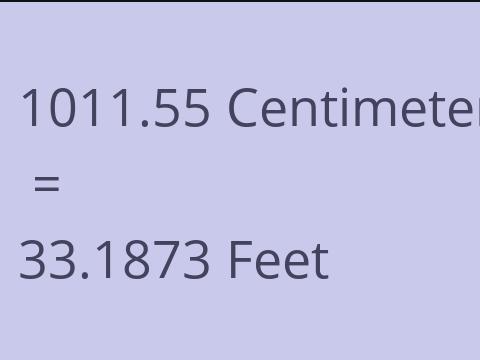 1011.55 CM TO FEET