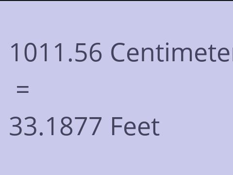 1011.56 CM TO FEET