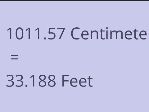 1011.57 CM TO FEET