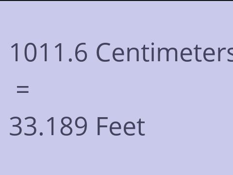 1011.6 CM TO FEET