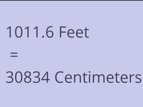 1011.6 FEET TO CM