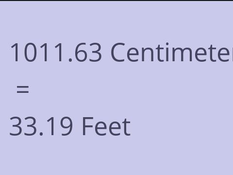 1011.63 CM TO FEET