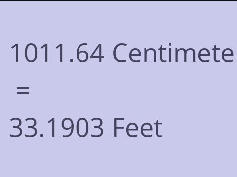 1011.64 CM TO FEET