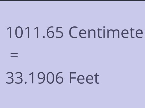 1011.65 CM TO FEET