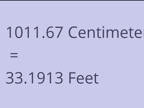 1011.67 CM TO FEET