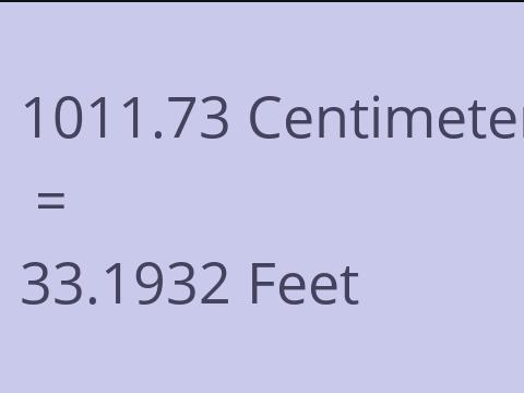 1011.73 CM TO FEET