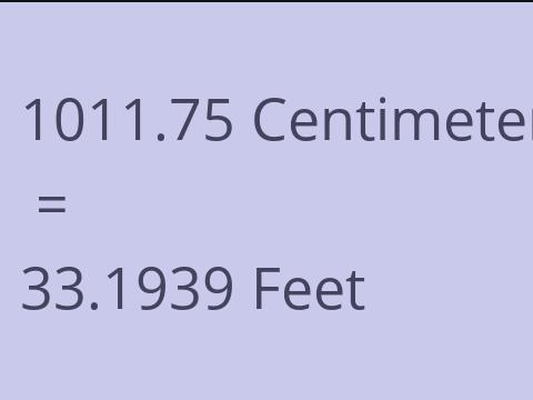 1011.75 CM TO FEET