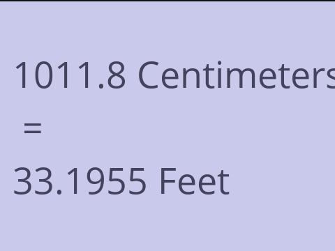 1011.8 CM TO FEET