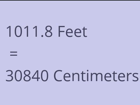 1011.8 FEET TO CM