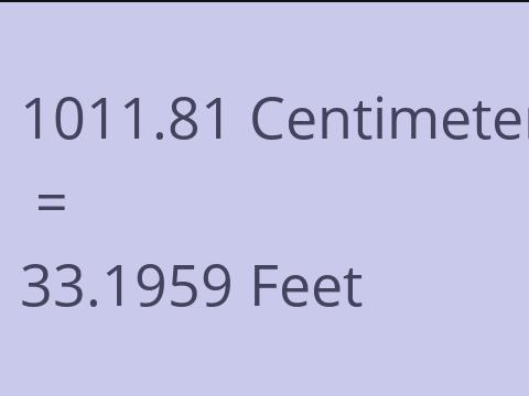 1011.81 CM TO FEET