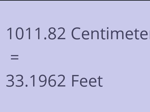 1011.82 CM TO FEET