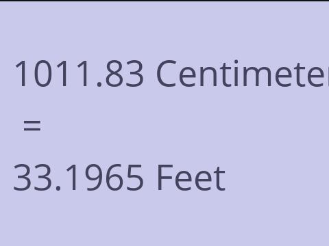 1011.83 CM TO FEET