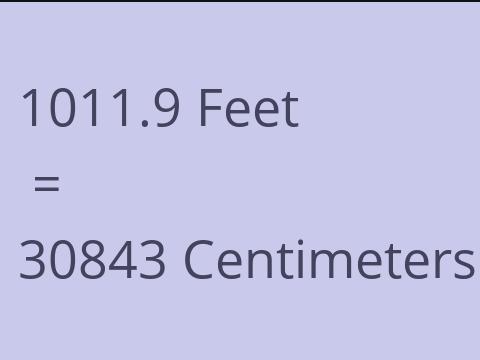 1011.9 FEET TO CM