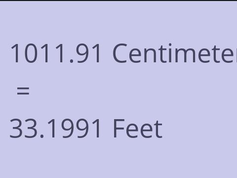 1011.91 CM TO FEET