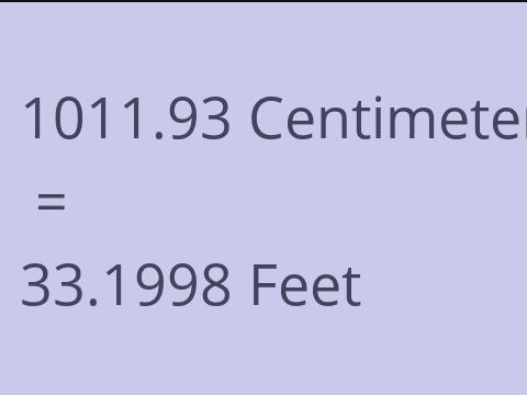 1011.93 CM TO FEET