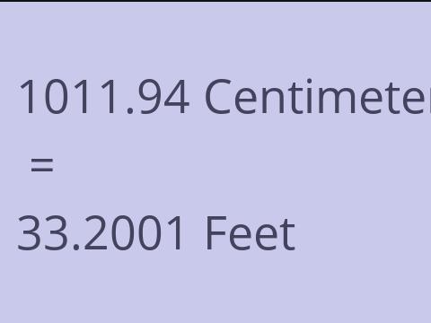 1011.94 CM TO FEET