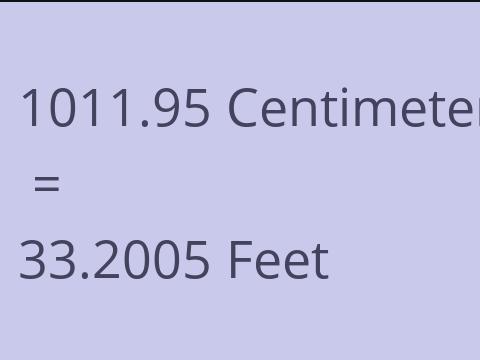 1011.95 CM TO FEET