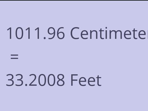 1011.96 CM TO FEET