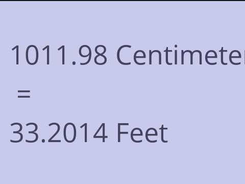 1011.98 CM TO FEET