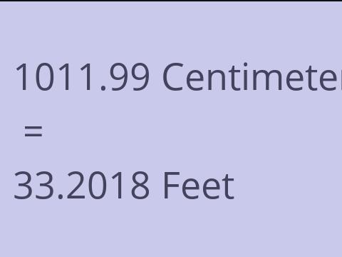 1011.99 CM TO FEET