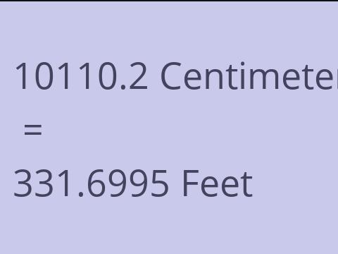 10110.2 CM TO FEET