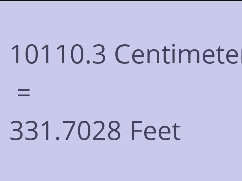 10110.3 CM TO FEET
