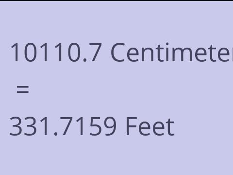 10110.7 CM TO FEET
