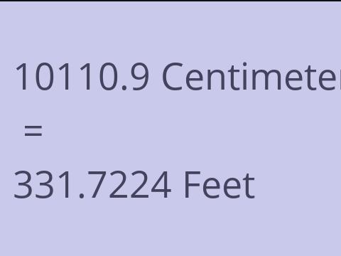 10110.9 CM TO FEET