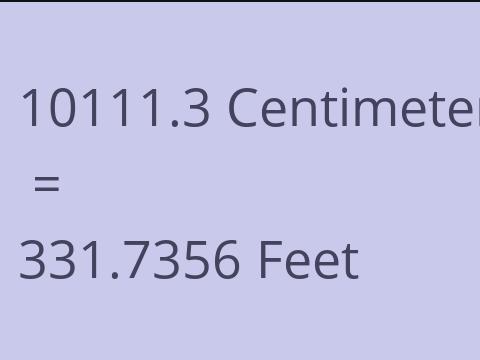 10111.3 CM TO FEET
