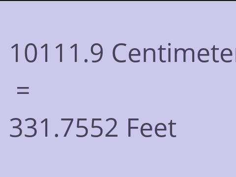 10111.9 CM TO FEET