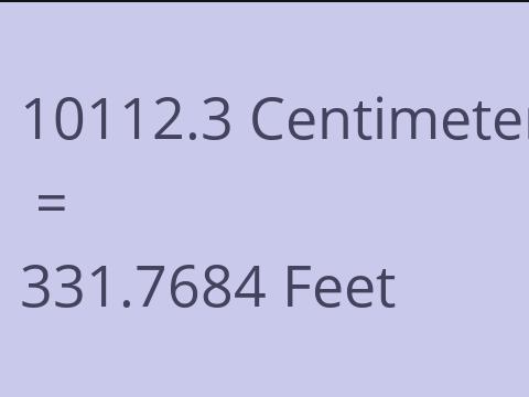 10112.3 CM TO FEET