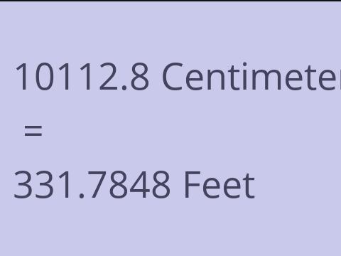 10112.8 CM TO FEET