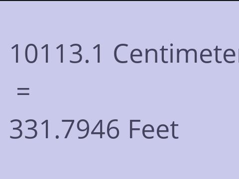 10113.1 CM TO FEET