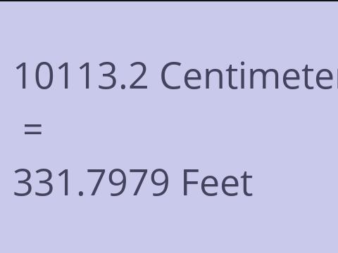 10113.2 CM TO FEET