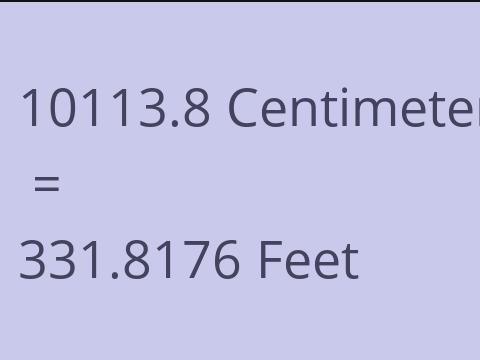 10113.8 CM TO FEET