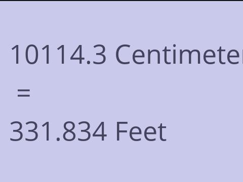 10114.3 CM TO FEET