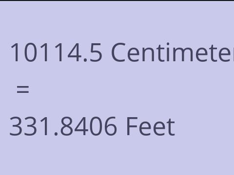 10114.5 CM TO FEET