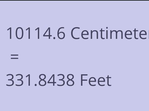 10114.6 CM TO FEET