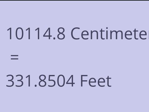 10114.8 CM TO FEET