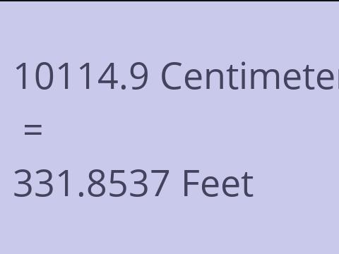 10114.9 CM TO FEET