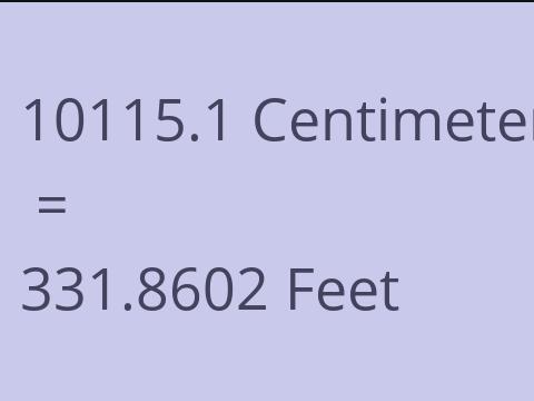10115.1 CM TO FEET