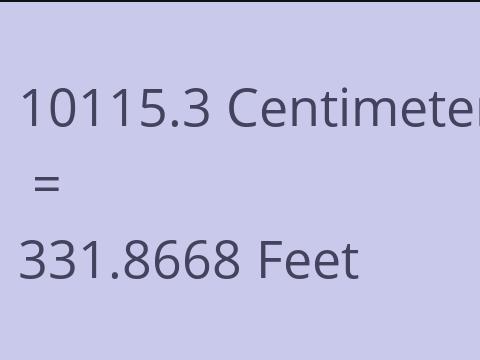 10115.3 CM TO FEET