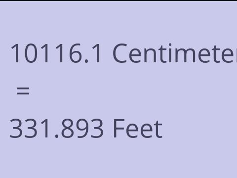 10116.1 CM TO FEET
