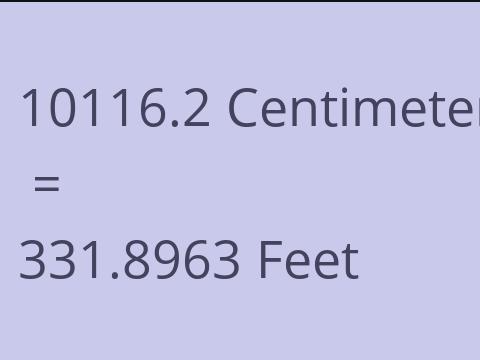 10116.2 CM TO FEET
