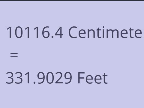 10116.4 CM TO FEET