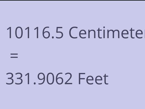 10116.5 CM TO FEET